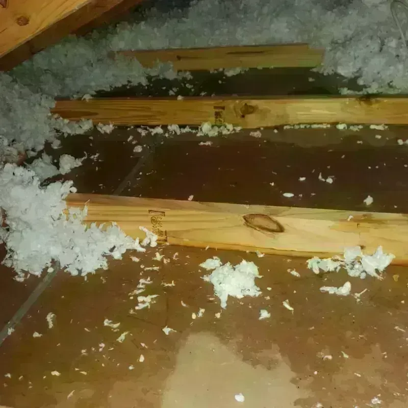 Attic Water Damage in Prices Fork, VA