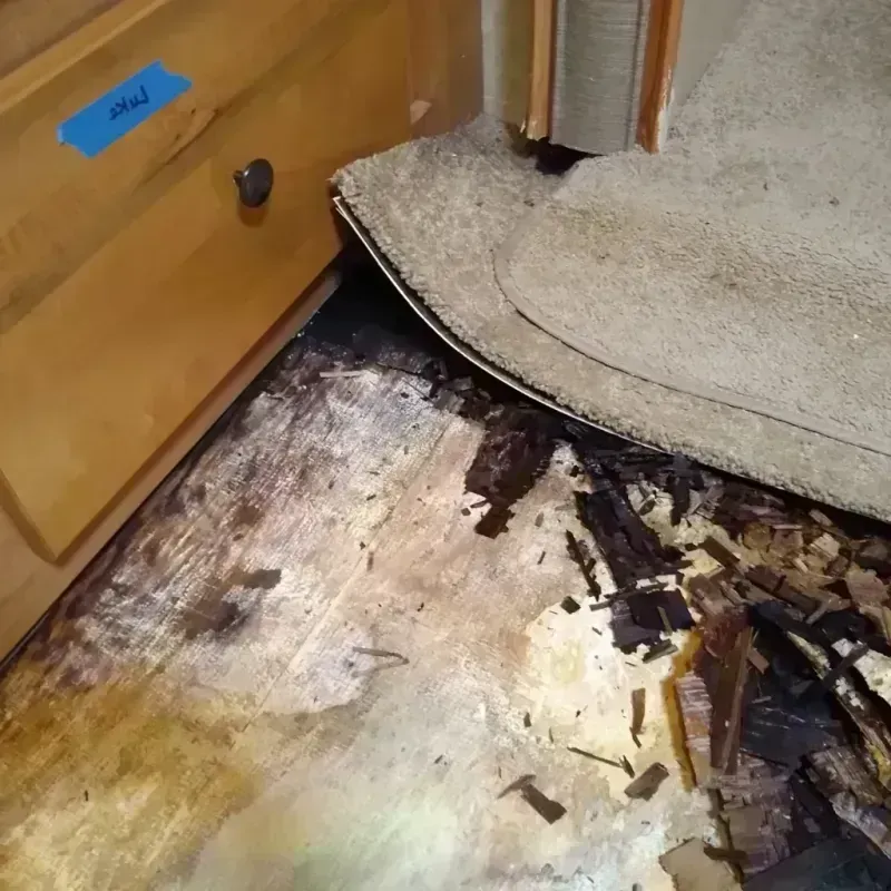 Wood Floor Water Damage in Prices Fork, VA